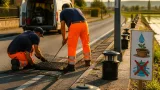 Alessandria, meno zanzare grazie a trappole, reti sui tombini e monitoraggi mirati