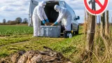 Allarme mixomatosi: 17 lepri sospette in provincia, possibile stop alla caccia