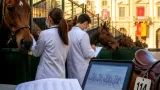 Asti, il Palio accelera: 114 cavalli ammessi e ora la selezione dei borghi