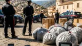 Blitz dei carabinieri: 35 arresti per traffici di droga legati alla cosca 'Alvaro'