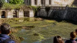 Caserta, degrado alle vasche della Reggia: melma e acqua stagnante nella Peschiera
