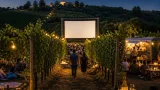 Cinema tra i filari: a Cocconato il 25 luglio serata con proiezione e degustazioni