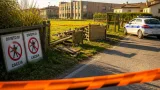 Divieto di caccia a Tavola: sospesa l’attività venatoria fino al 31 gennaio 2027