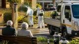 Febbre del Nilo, 16 casi confermati nell’Oristanese: attivate indagini e disinfestazioni