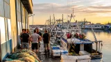 Fermo: scatta il fermo pesca in Adriatico, stop alle imbarcazioni fino al 29 settembre