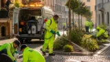 Ferrara, primo caso stagionale di dengue: attivato protocollo straordinario di disinfestazione