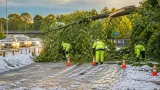 Grandinate e alberi caduti nel Vicentino: disagi su più fronti nella serata del 21 luglio
