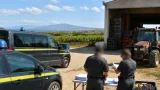 Guardia di Finanza scopre 15 lavoratori "in nero" in aziende agricole: sanzioni e possibili sospensioni