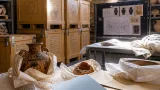 Il Comune di Enna chiede ufficialmente il rientro delle collezioni Argento e Cammarata