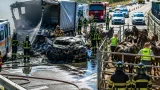 Lecce, maxi incidente sulla statale 274: strada chiusa, tre feriti e sei cavalli tratti in salvo
