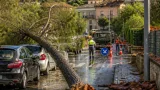 Maltempo a Benevento: alberi caduti, strade chiuse e danni in più quartieri