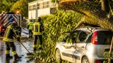 Nubifragio in provincia: 34 interventi, un albero cade sulla Panda di un 70enne