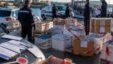 Operazione interforze a Isola di Capo Rizzuto: sequestrati 14 kg di prodotti ittici e sanzioni amministrative