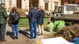 Pavia, scontro Comune-Asm sul conto della raccolta porta a porta del verde: rischio maggiorazione per i cittadini
