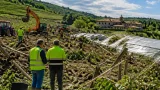 Regione: bando da 2 milioni per riparare i danni del maltempo alle aziende agricole veronesi