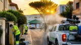 Sale a 14 il numero di casi di Febbre del Nilo nella provincia: attivati interventi di prevenzione