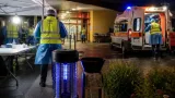 Teramo: primo caso umano 2026 di West Nile in Abruzzo, paziente 85enne ricoverato