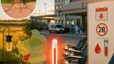 Tre ricoveri al San Matteo: in provincia di Pavia emergono i primi casi umani di West Nile
