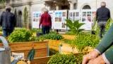 Verbania capofila del progetto europeo «Vitamina G» per il benessere degli anziani