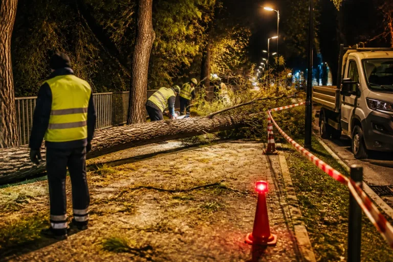 A Teramo un ramo di quasi 10 metri blocca la passeggiata della Gammarana: nessun ferito
