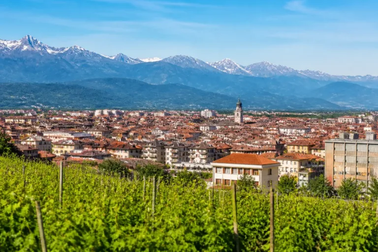 ATC CN1 nel limbo, Coldiretti sollecita: commissariamento urgente per Cuneo
