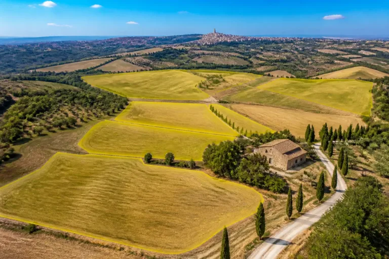 Banca delle Terre Agricole: in provincia di Siena 4 lotti per 108 ettari all’asta