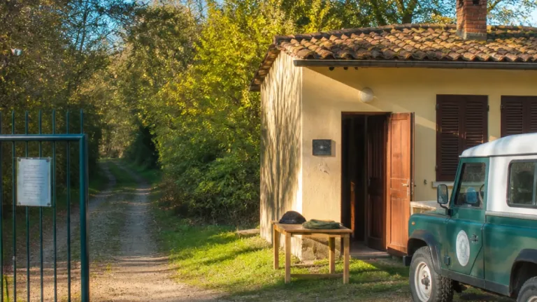 Bosco della Mesola: personale ridotto all’osso, aperture limitate e incertezza sulle assegnazioni