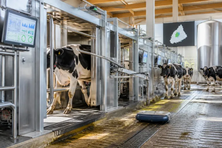 Brescia capofila nella mungitura robotizzata: 204 impianti in 90 aziende