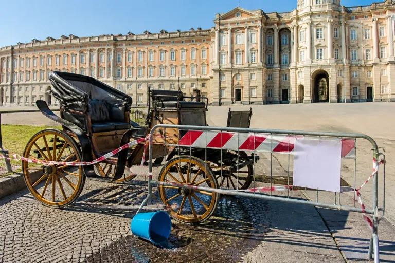 Caserta, condanna definitiva per la morte del cavallo alla Reggia: Cassazione chiude il caso
