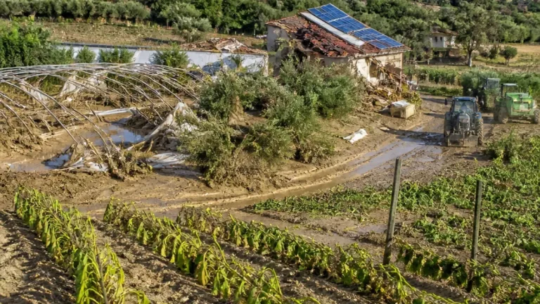 Coldiretti: maltempo provoca danni gravissimi alle coltivazioni nelle Marche, colpito anche il Fermano