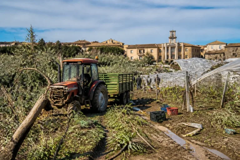Coldiretti: trombe d'aria e grandinate hanno gravemente danneggiato colture e serre nella Tuscia