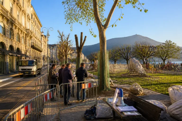 Como, nuovo scontro sui ciliegi di via XX Settembre: Rapinese annuncia «altre levatacce»