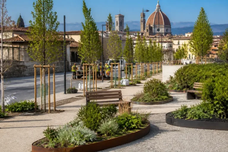 Firenze e gli alberi: la città è 40ª in Italia, il Piano del Verde punta a 50.000 nuove piante