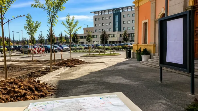 Grosseto, mozione per «meno asfalto e più alberi»: la proposta arriva in Consiglio
