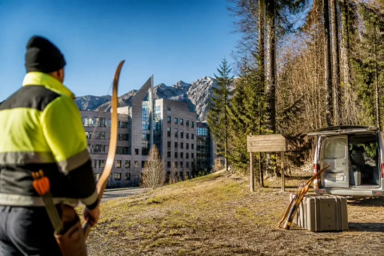 Il Trentino sperimenta l'uso dell'arco per il controllo del cinghiale: la Giunta approva la misura