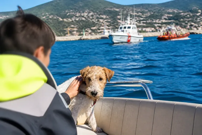 La Spezia: cagnolina salvata nel golfo grazie a un diportista e alla Capitaneria