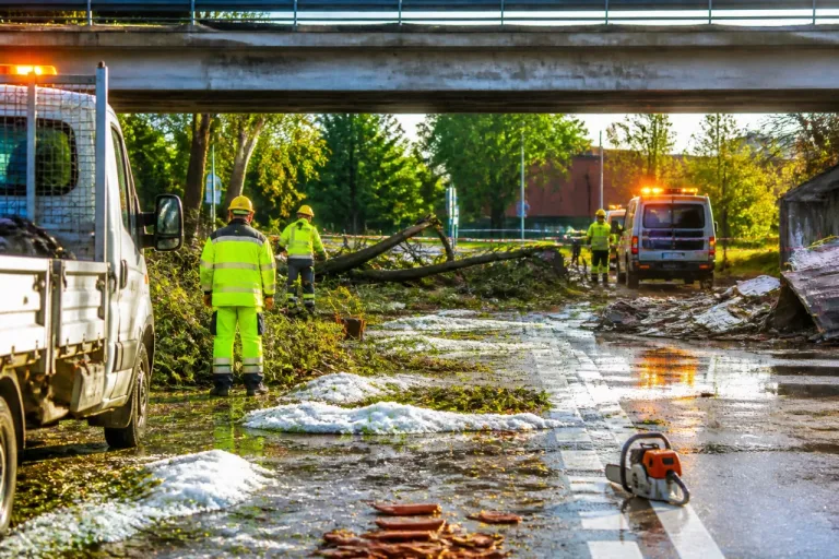 Maltempo, criticità e disagi nella provincia di Alessandria: alberi sulla SS30 e tetti danneggiati