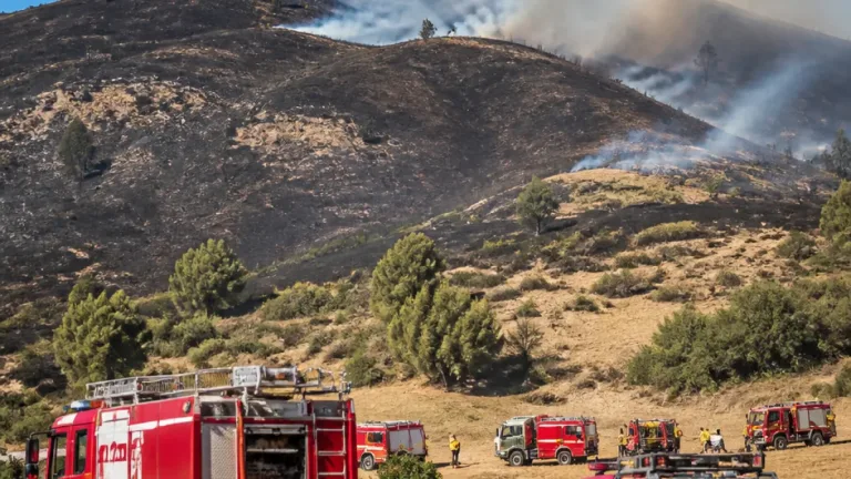 Ondata di fuoco nel Palermitano: centinaia di ettari in fumo e una vittima tra i pompieri