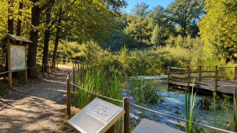 Piossasco, Monte San Giorgio: al via “Arca”, più biodiversità e sentieri accessibili