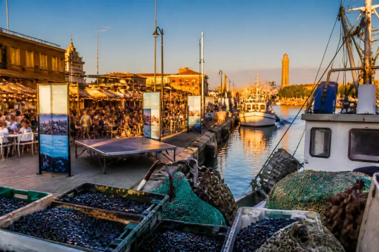 Ravenna: parte La Selvaggia di Marina di Ravenna in Festa, sei giorni dedicati alla Cozza Selvaggia