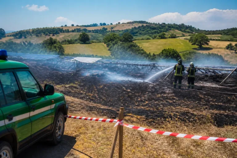 Roghi nell’Anconetano, due denunce: ad Agugliano il maxi incendio legato a un fotovoltaico