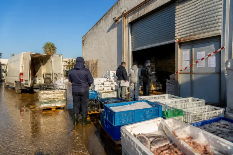 Sequestrate quattro tonnellate di pesce in magazzino abusivo a Bagheria: parte devoluta al Banco Alimentare