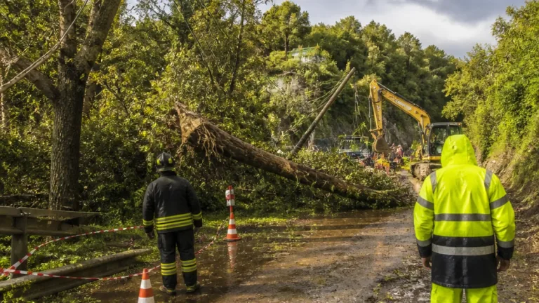 Temporali e vento nel Veneto: danni e interruzioni anche nel Vicentino