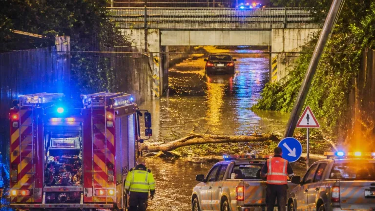 Violento temporale: alberi e sottopassi bloccano più strade provinciali, interventi notturni