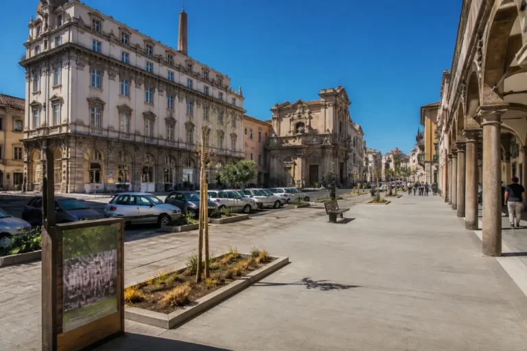 Viterbo maglia nera nel Lazio per gli alberi: appena 8 piante ogni 100 abitanti
